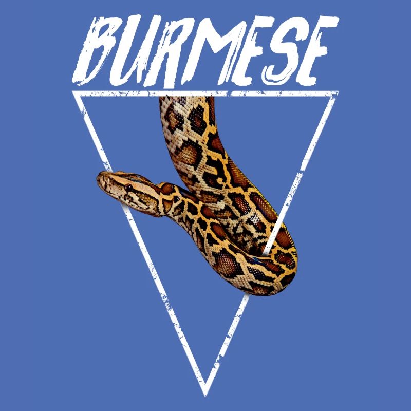 Burmese Python Owner Geometric