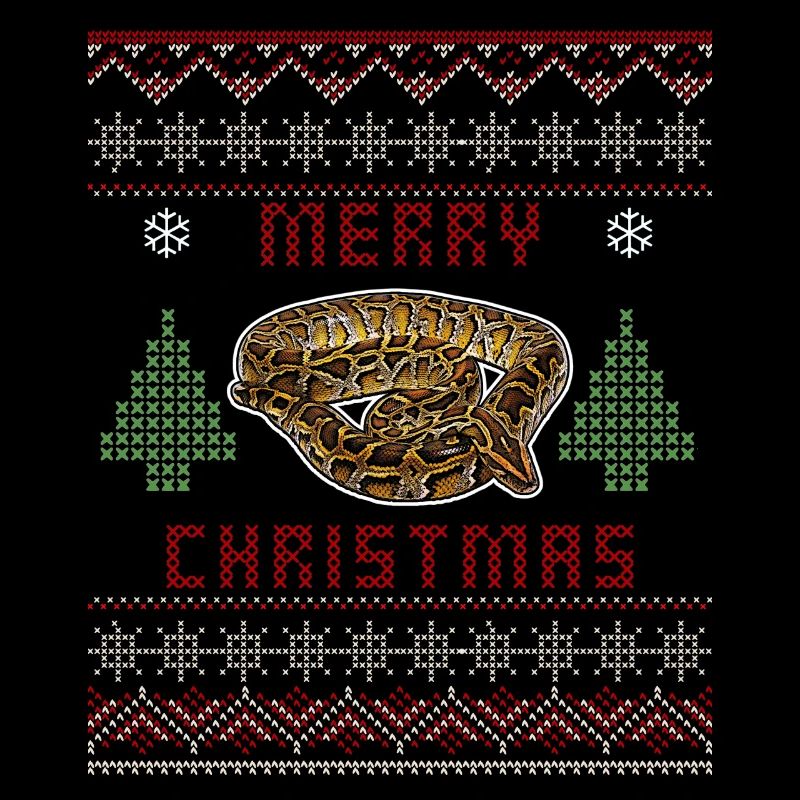 Noël Python birman