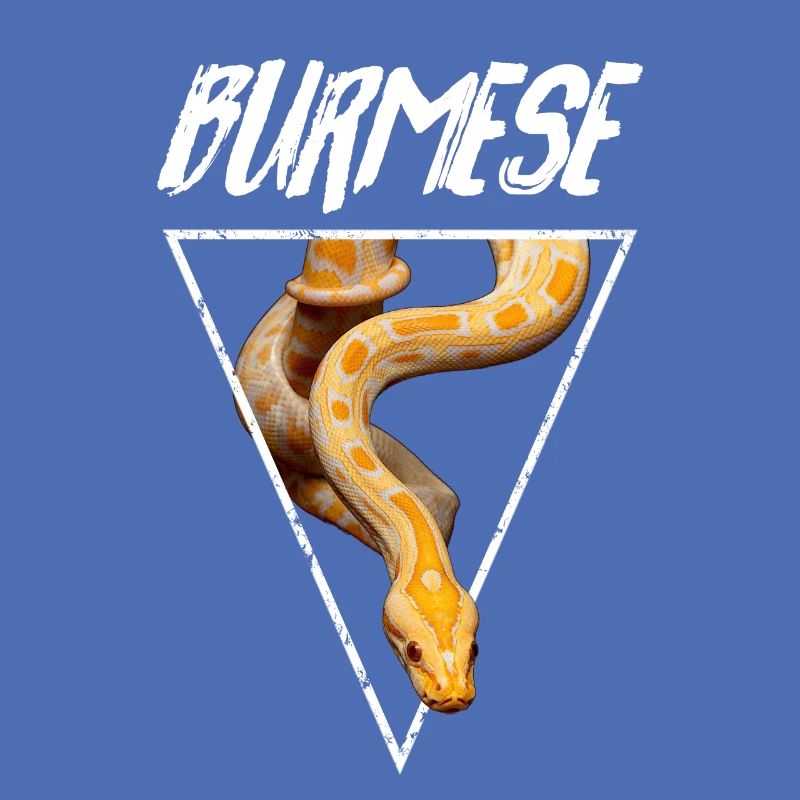 Propriétaire de serpent Python birman