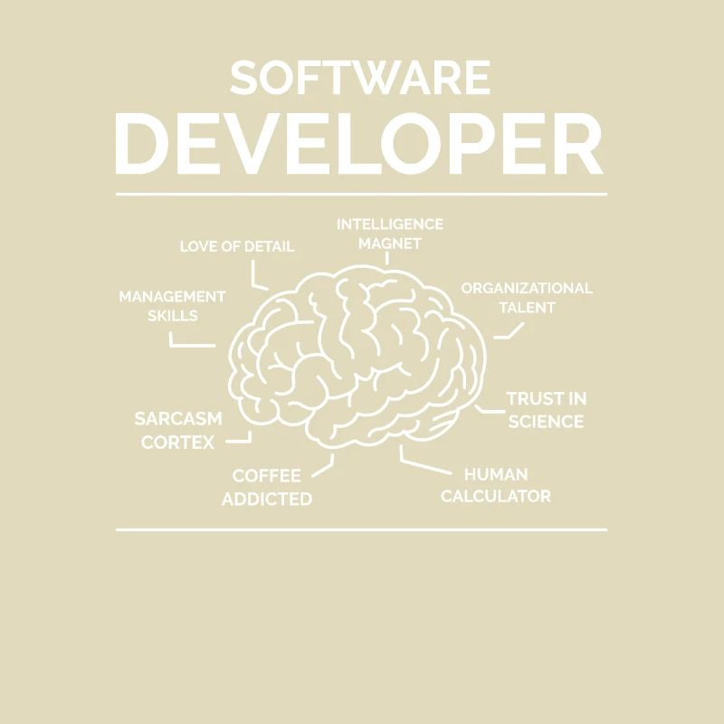 Software Entwickler