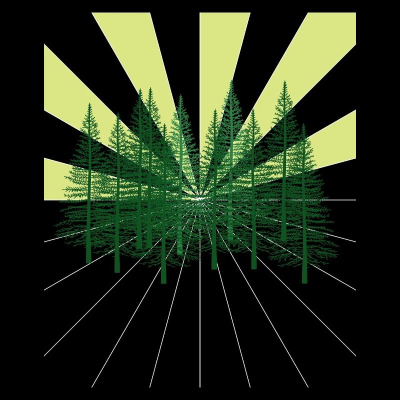 Rays Forest Fir Wilderness Ecology Atom Environment