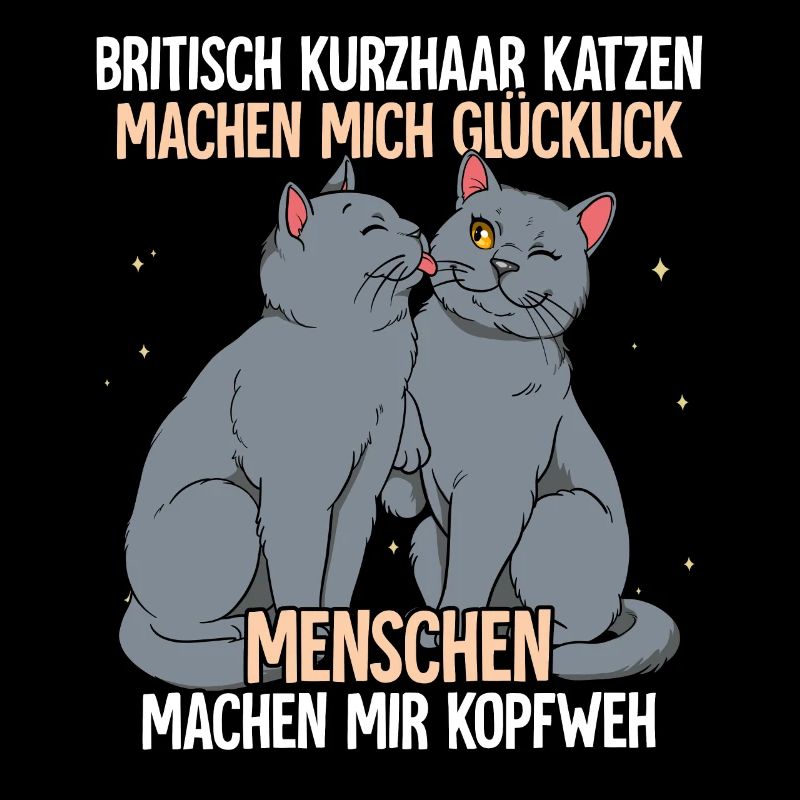 Britisch Kurzhaar Katzen