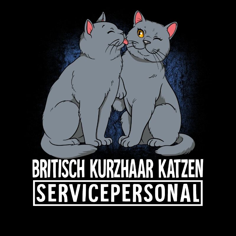 Britisch Kurzhaar Katze