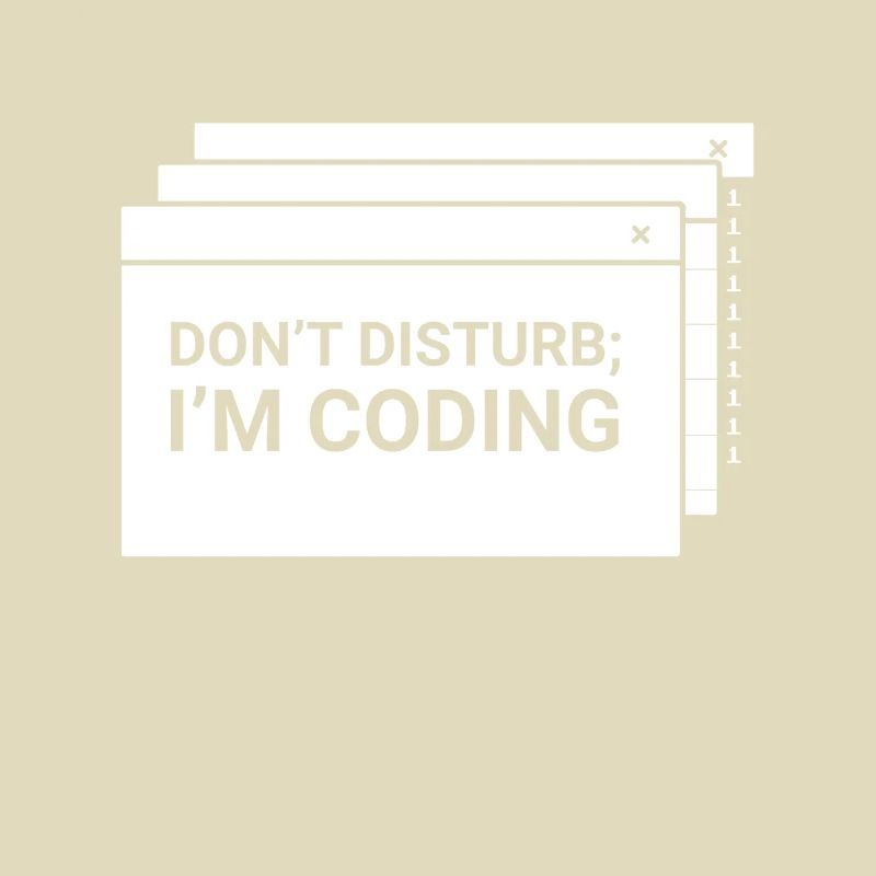 Stören Sie Nicht Ich Programmiere Coder Coding