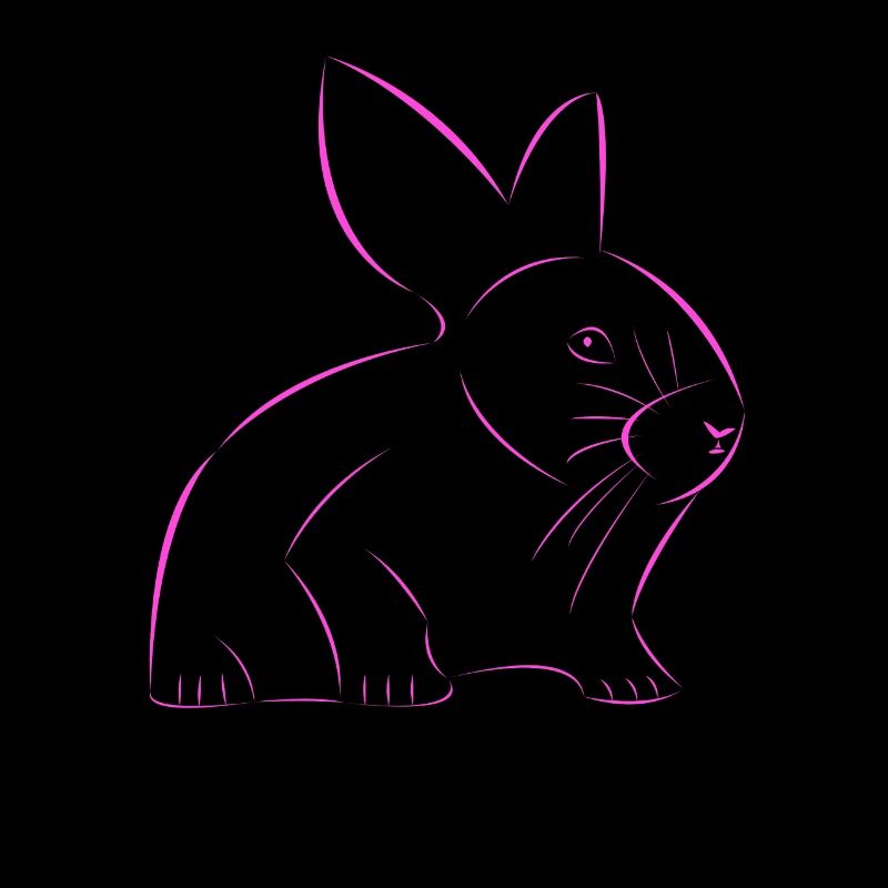Rabbit drawn