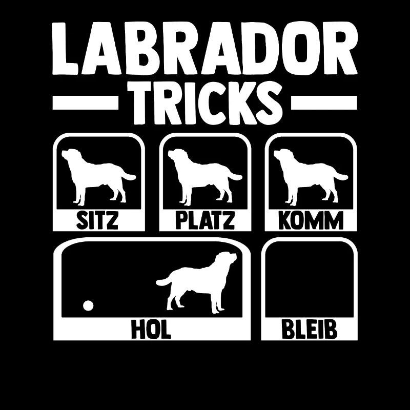 Hund Labrador