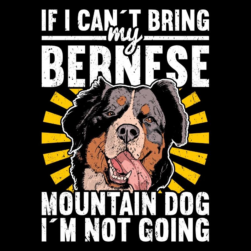 Berner Sennenhund