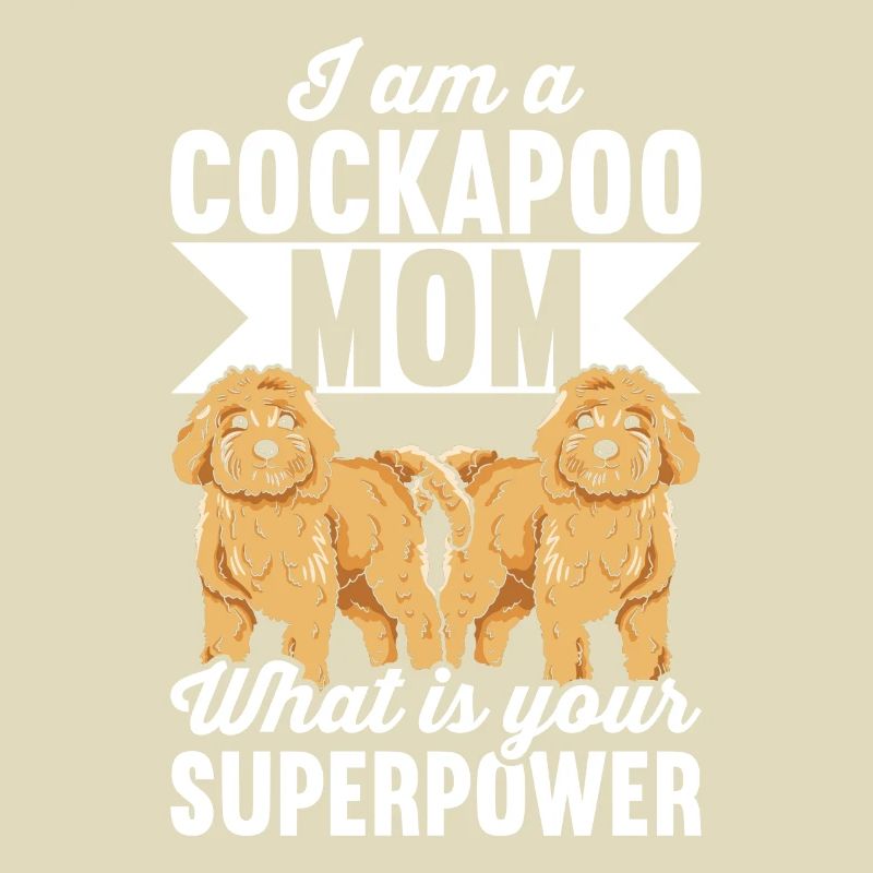 Cockapoo Hund