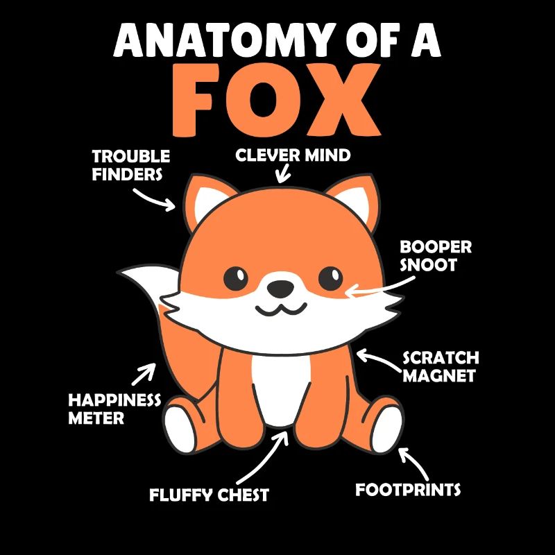 Explication du renard mignon Anatomie d’un renard
