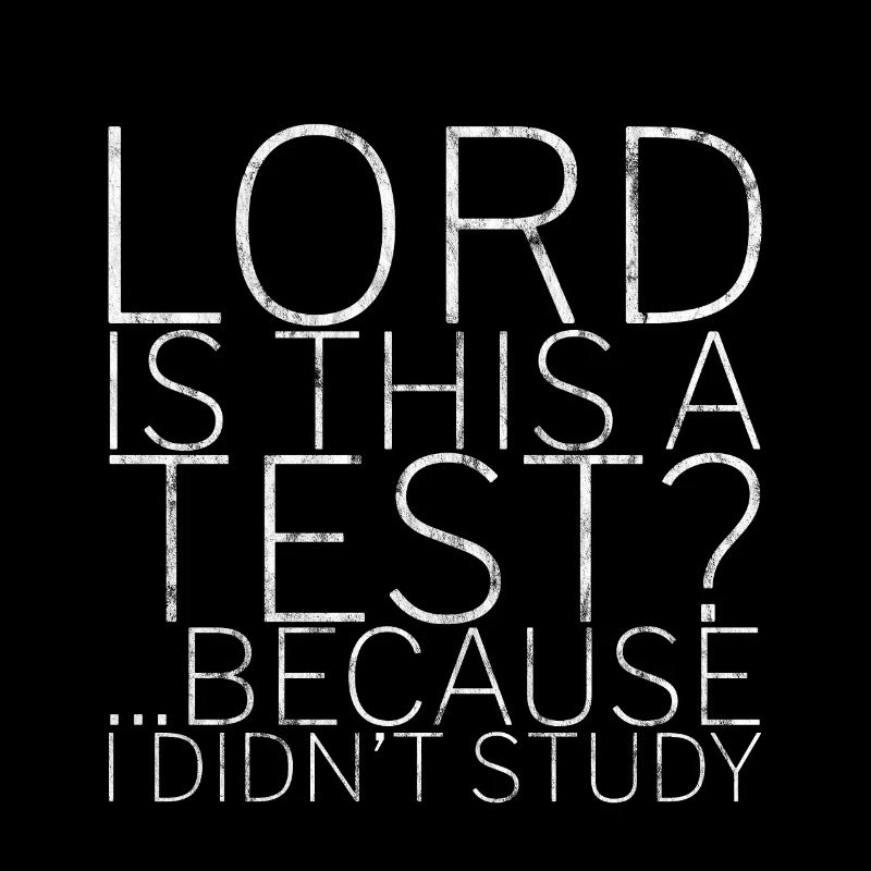 Lord Is This A Test, Because I Didn't Study 3