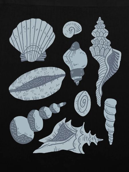 Muscheln