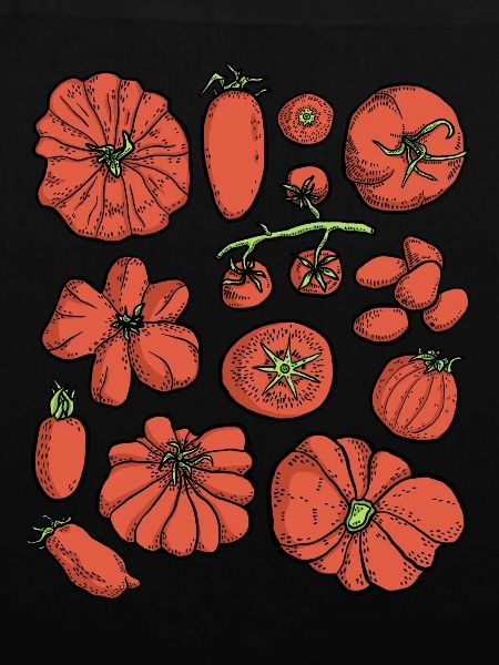 Tomaten