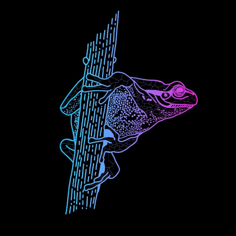 Tree Frog Toad Tadpole Frog Breeder Frog