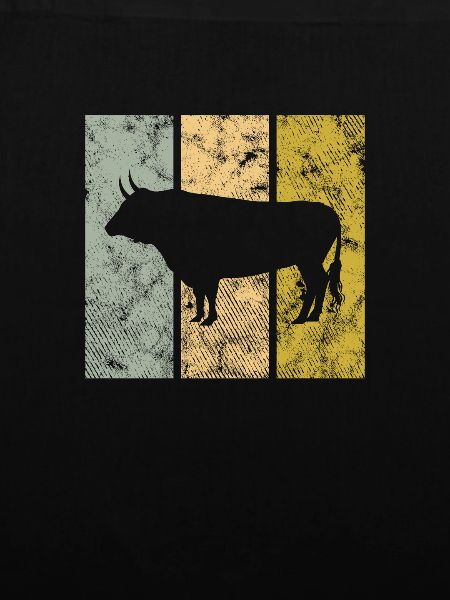 Stier