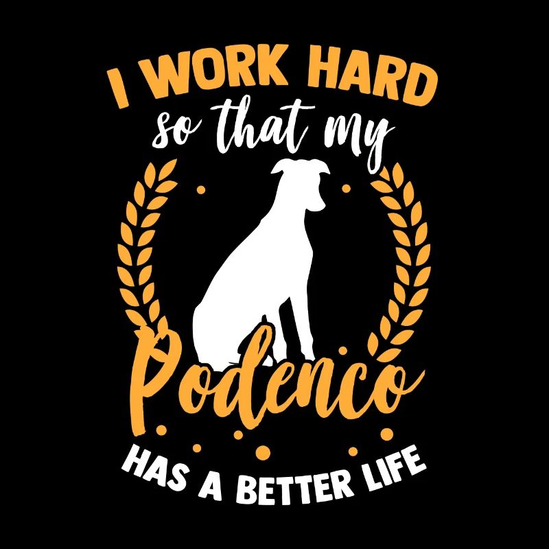 Work for my Podenco Spanish greyhound