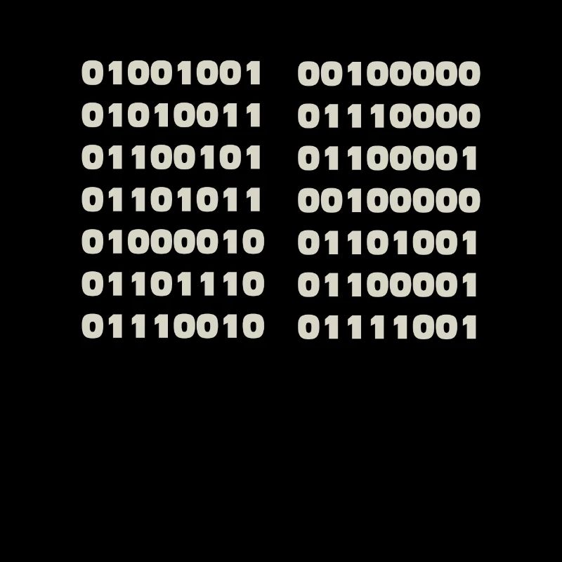 Ich Spreche Binär Code Lustiges Informatiker Coder