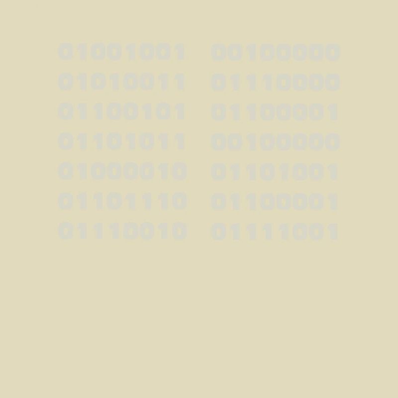 I Speak Binary Code Funny Computer Scientist Coder