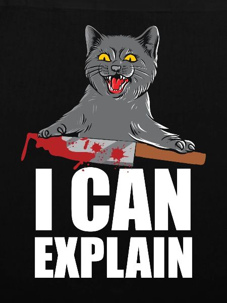 I Can Explain