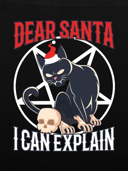 Dear santa i can explain