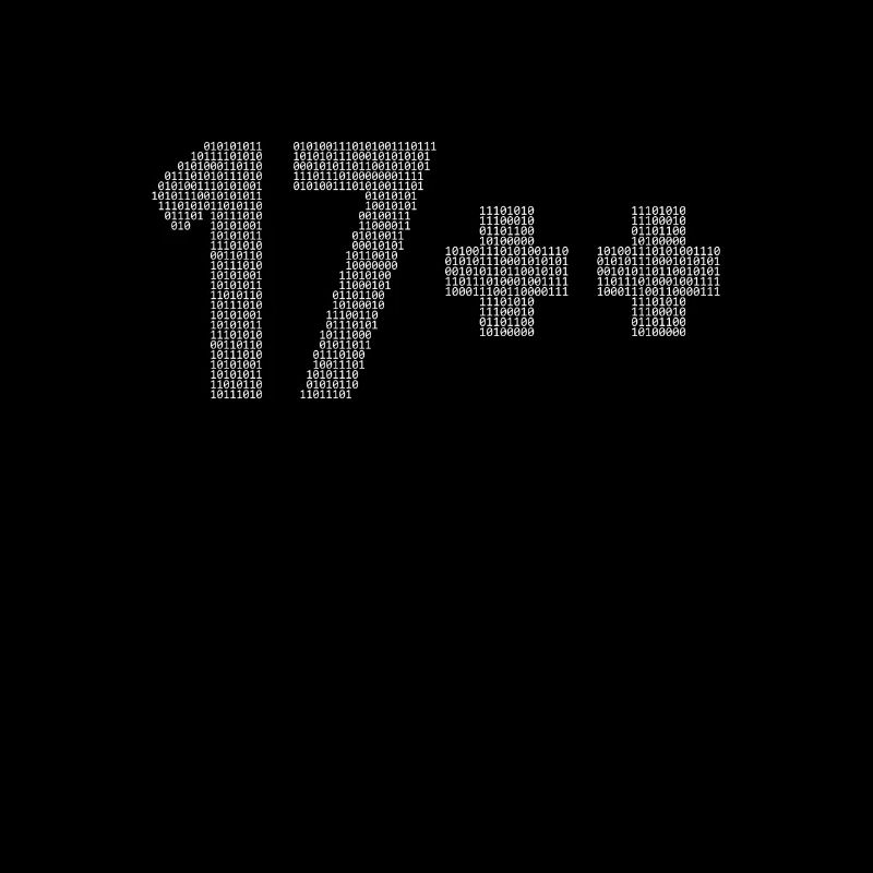 17++ Programmer Developer Coder 18th Birthday