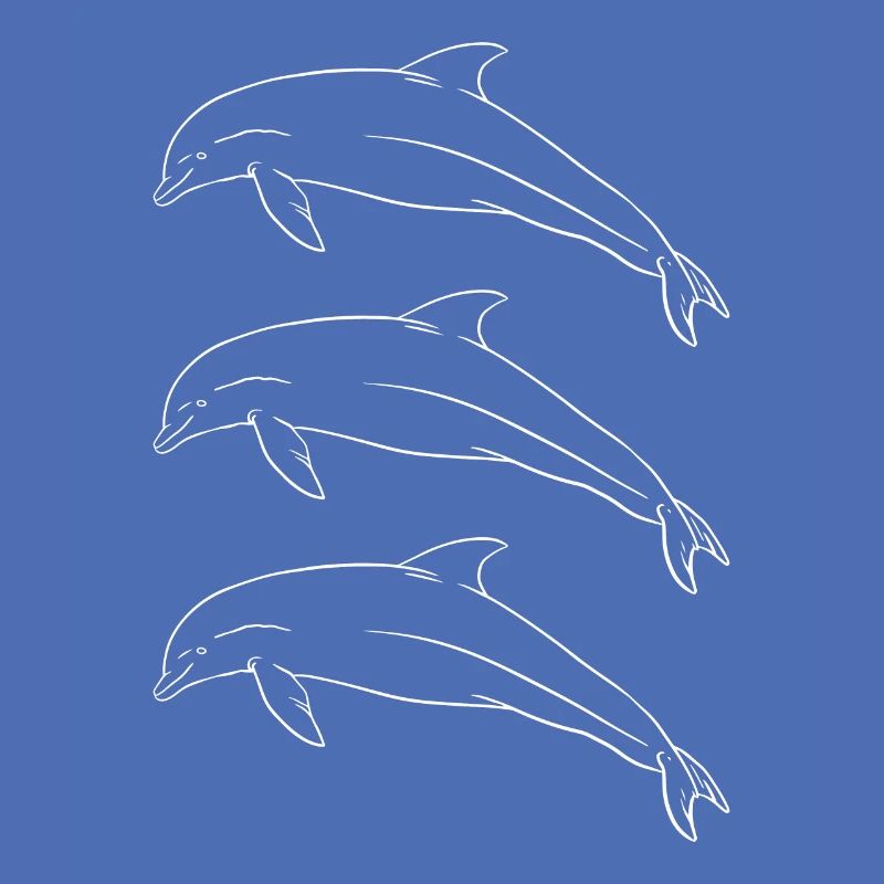 Dolphin Trio Oceanic Harmony Gift