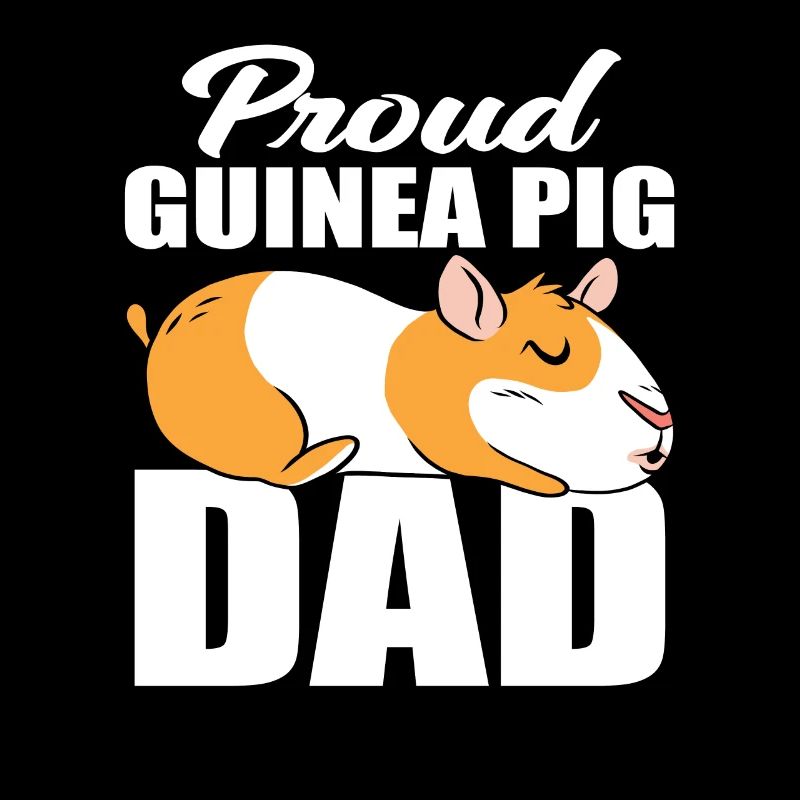 Fier papa cochon d’Inde