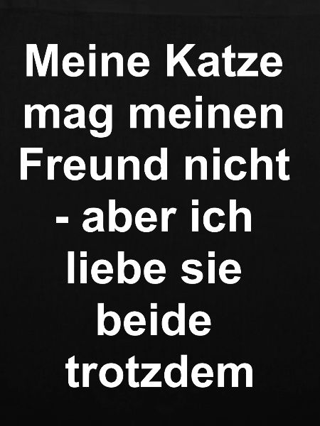 Katzen-Freund-Geschenk