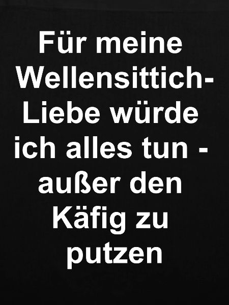 Wellensittich-Liebe Geschenk