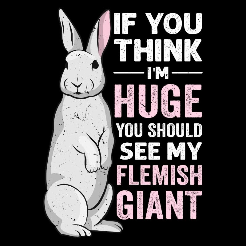 Lapin géant flamand Lapin Lapin