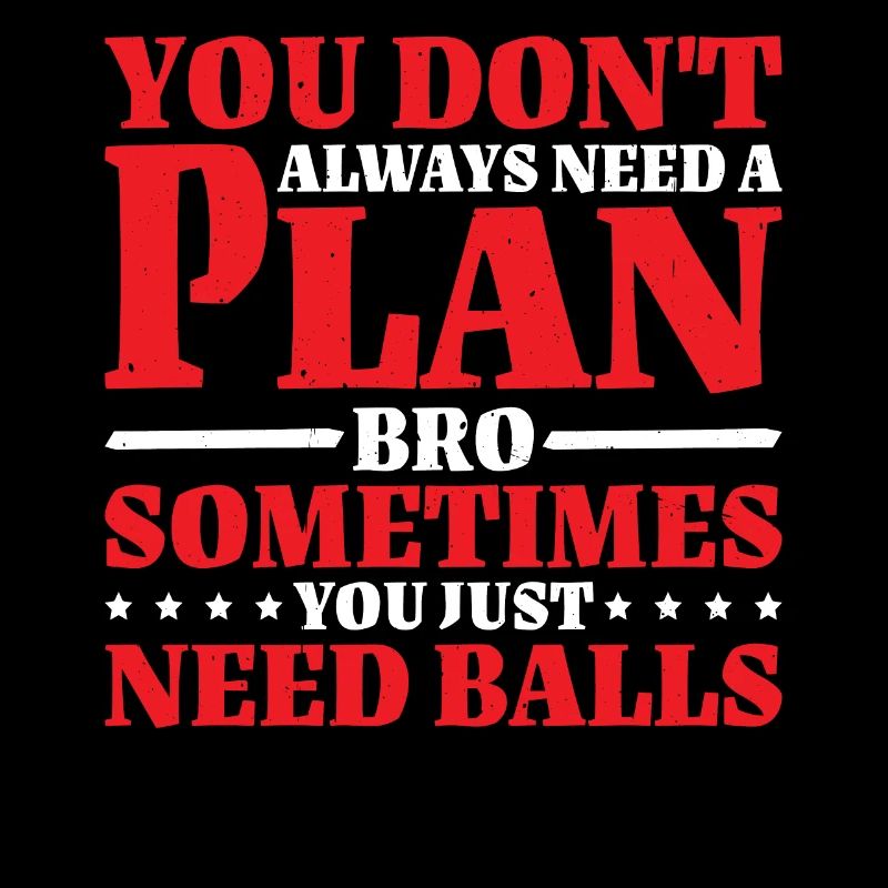 No Plan Needed Just Balls Bro 2