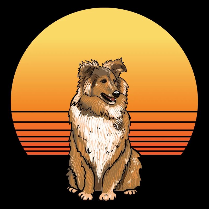 Sheltie Sun