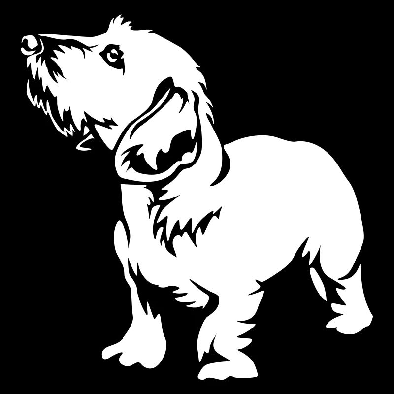 Dackel "Black Edition"