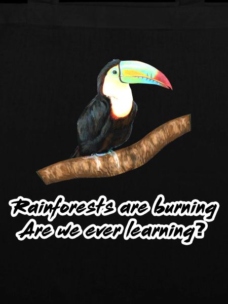Rainforests are burning
