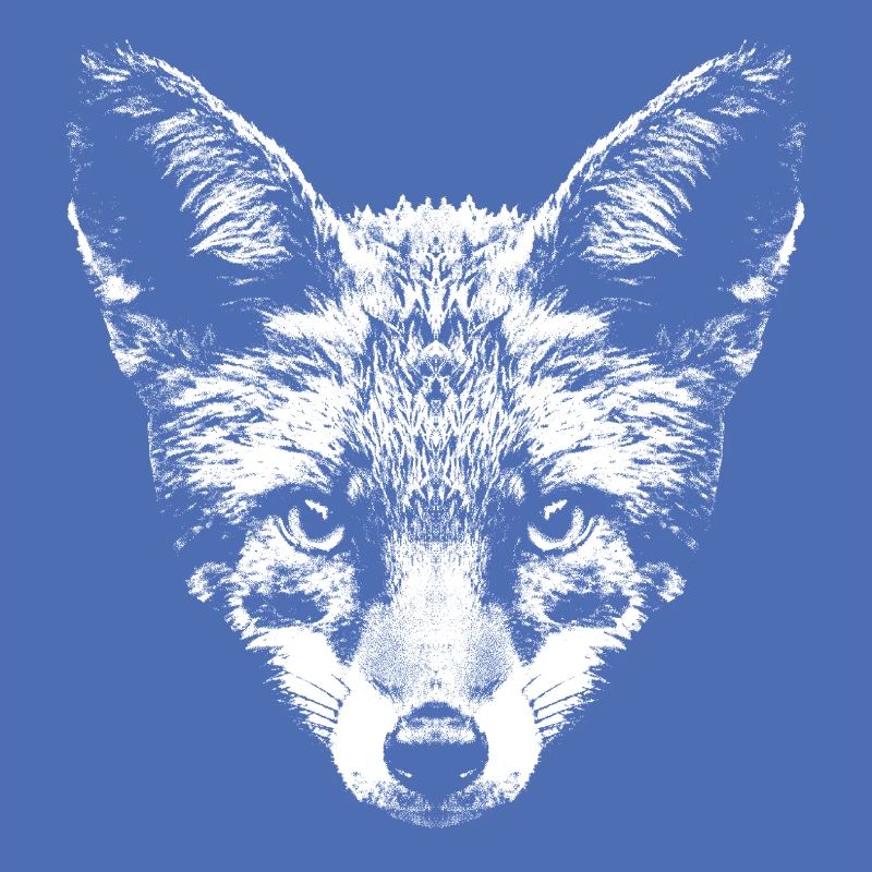 Fox / Fox / Head / Red Fox