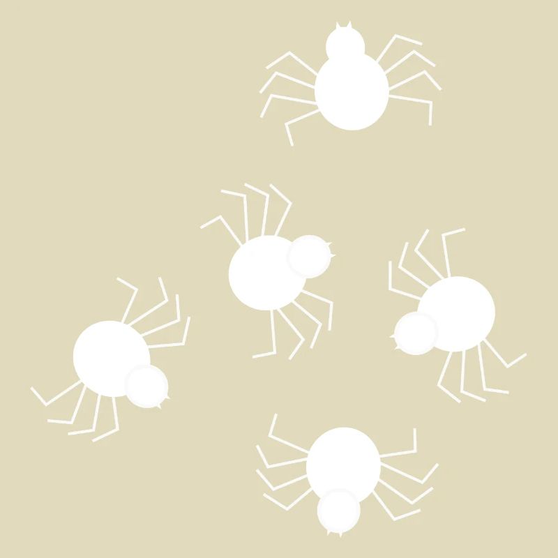 Spider white