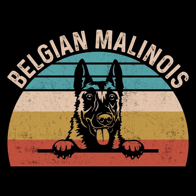 Belgian Malinois Belgian Malinois