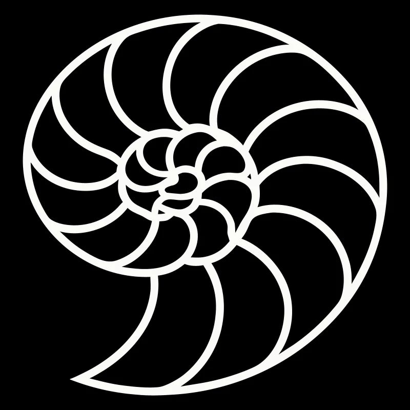 Weiße Nautilus-Spirale