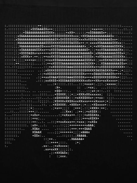 Arthur Schopenhauer ASCII Kunstporträt