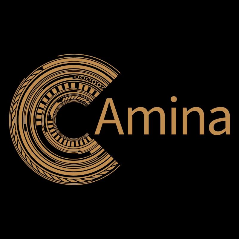 Pour Amina