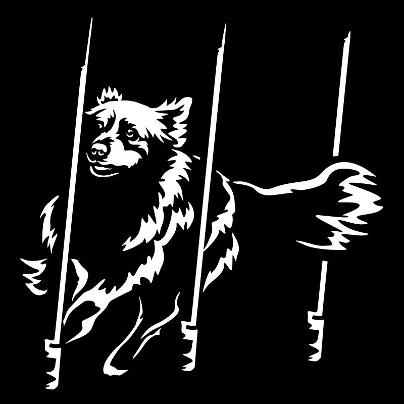 Australian Shepherd "Black Edition"