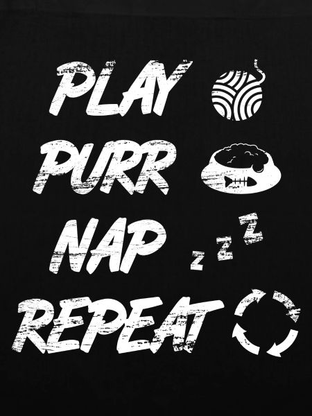 Cat Daily Routine
