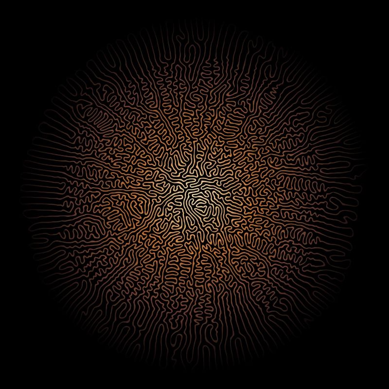 Mycélium de champignon (édition psychédélique)