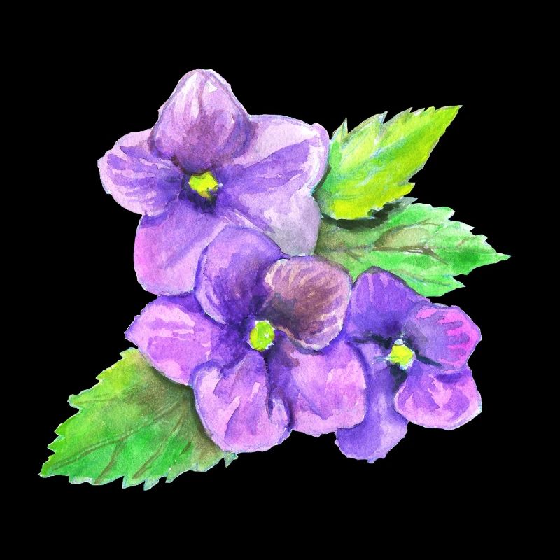 Three Violets
