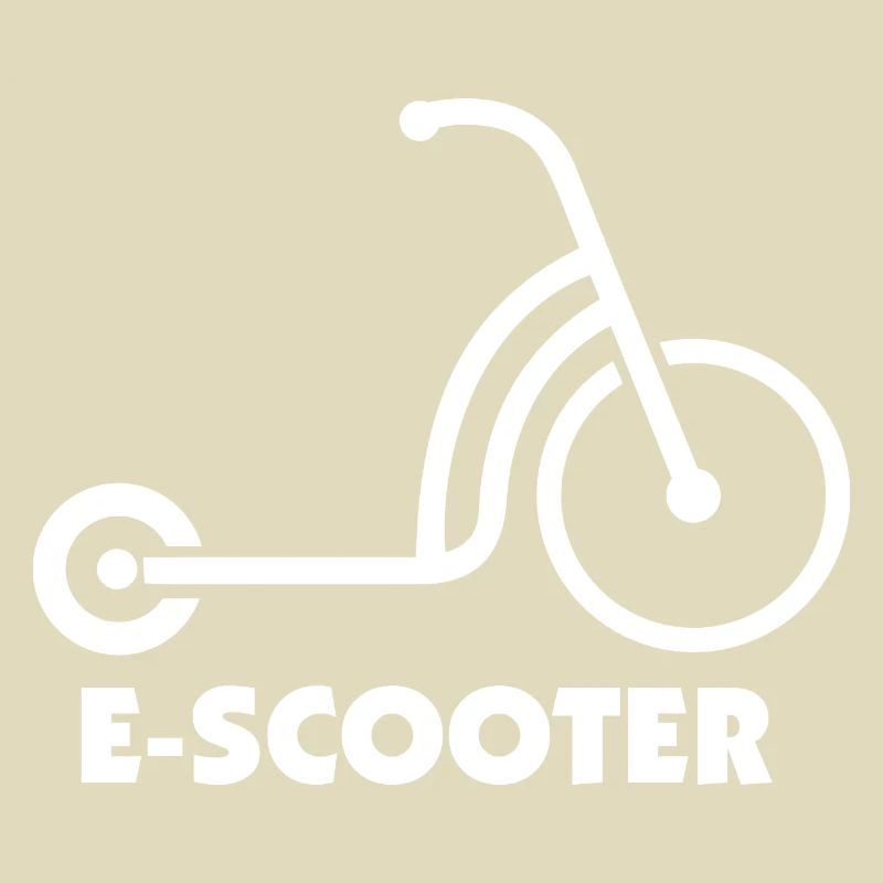 E-Scooter E-Roller Scooter
