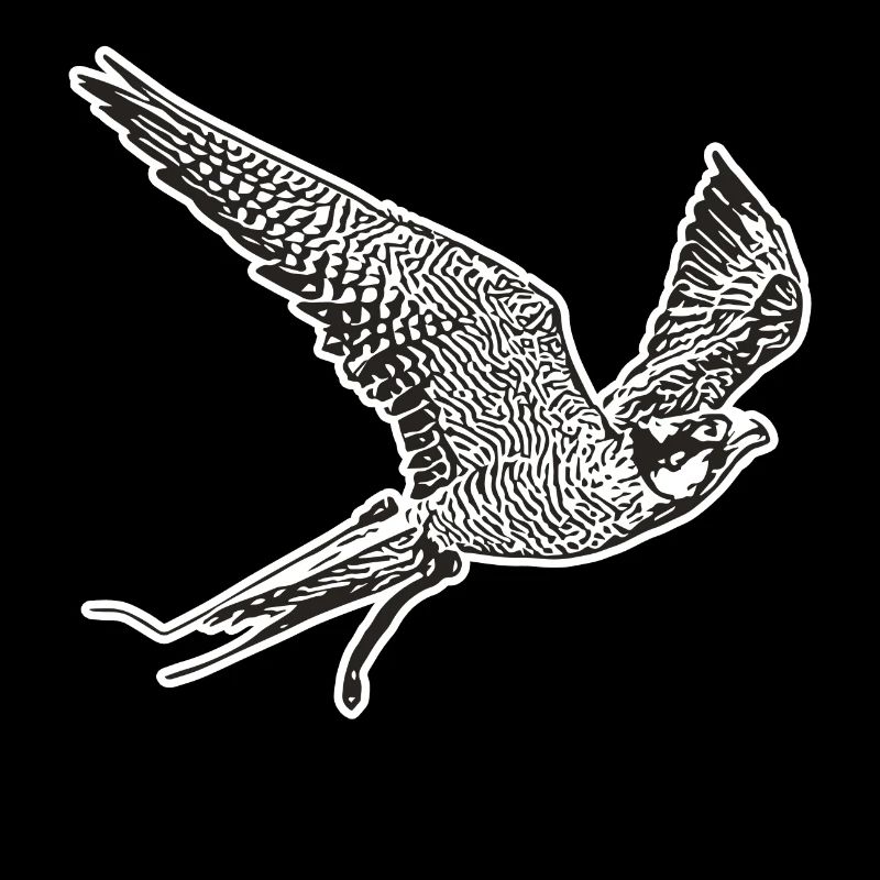 Falke im Flug