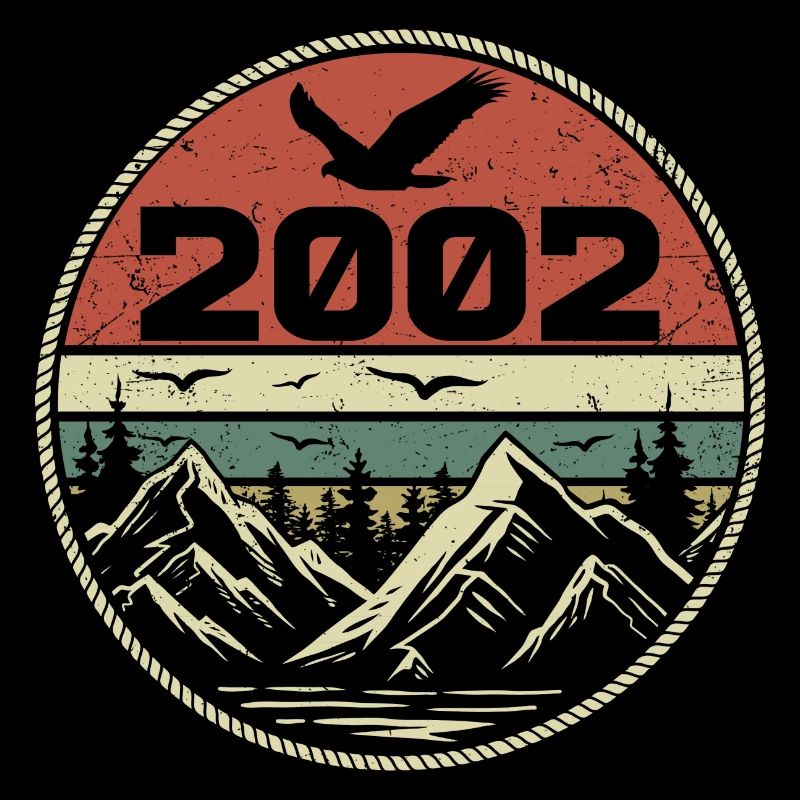 Vintage 2002 Classic 2002 Retro 2002 Gift 2002