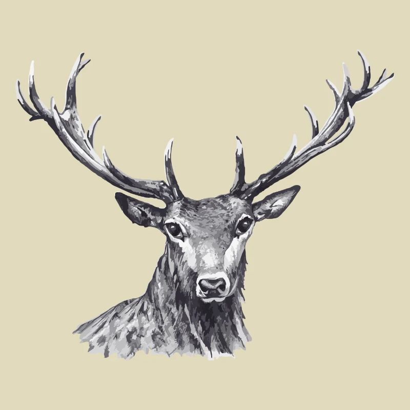 Hirsch