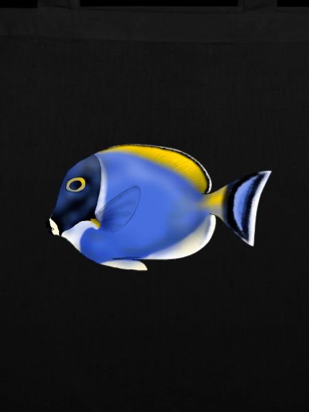 ACANTHURUS LEUCOSTEMON