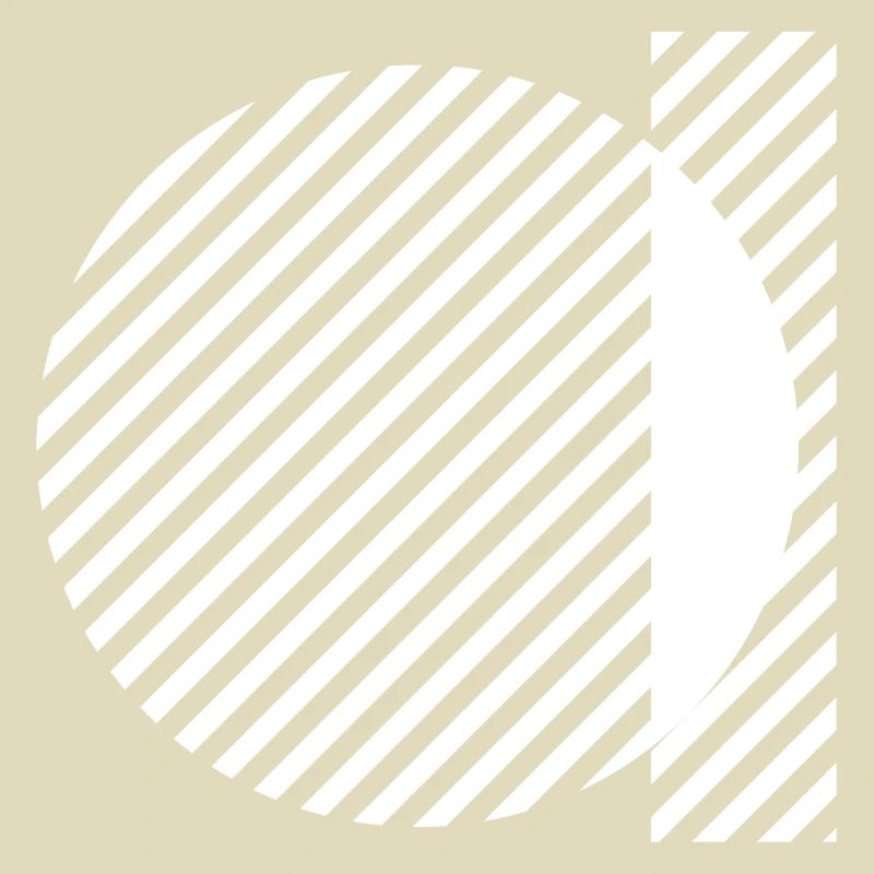 Geometric Stripe Circles Monochrome Pattern