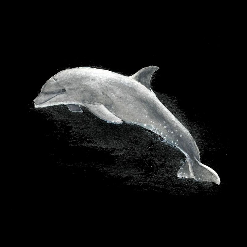 Delphin